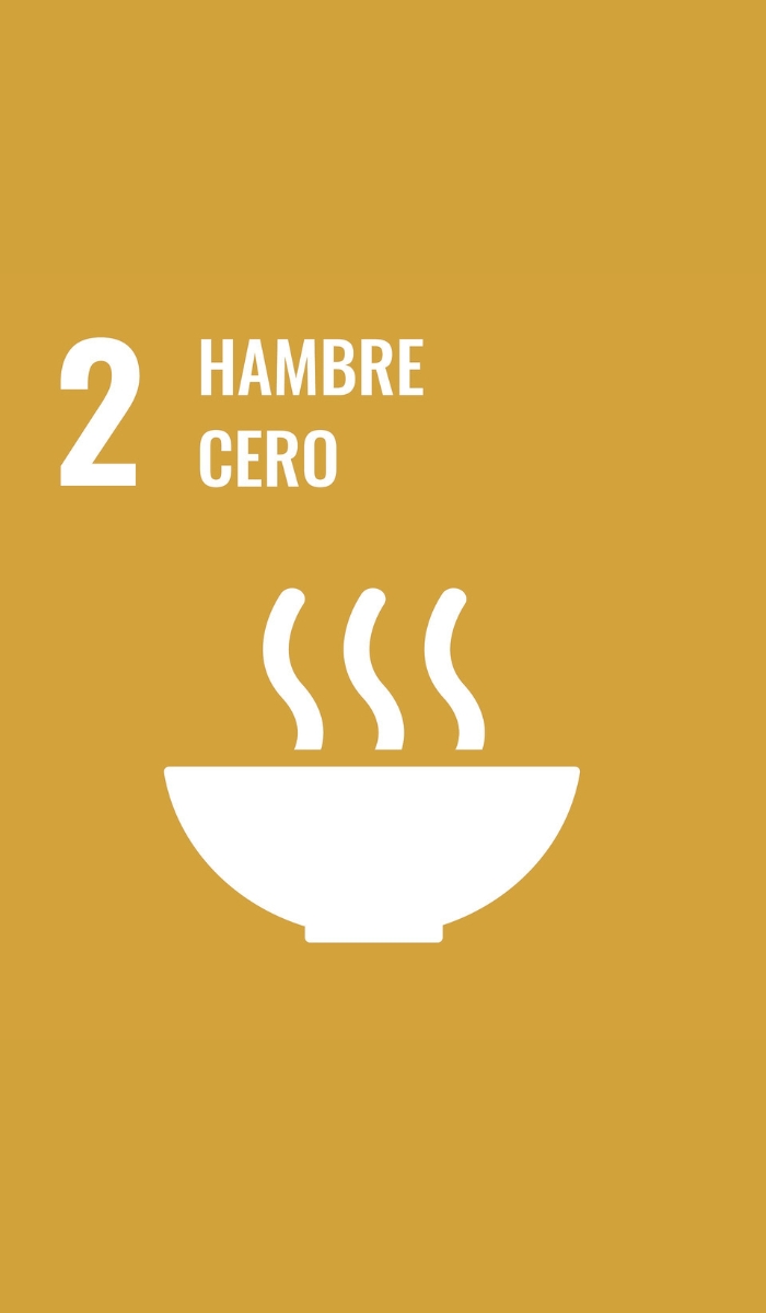 2. Hambre Cero