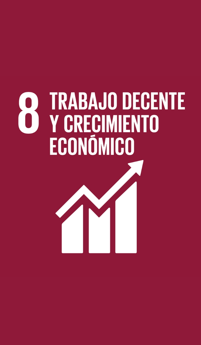 8. Trabajo Decente
