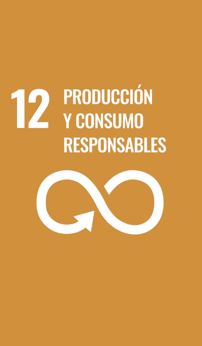 12. Produccion responsable