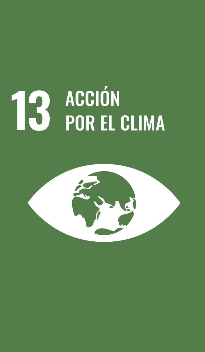 13. Accion por el clima