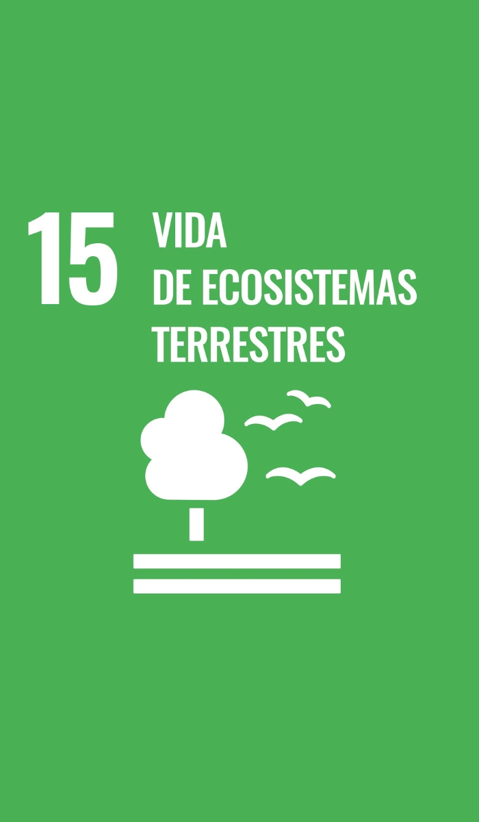 15. Ecosistemas Terrestres